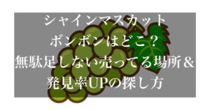 シャイン マスカットボンボン 売ってる場所