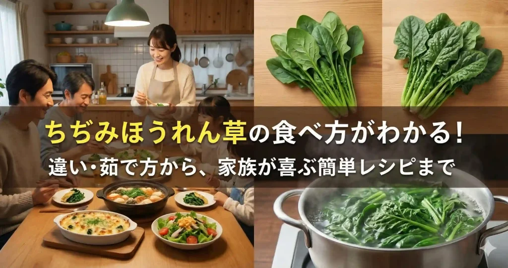 ちぢみほうれん草